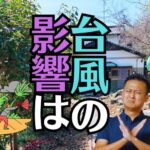 「台風」の雨や風で実家のお仏壇にはどんな影響があるの？