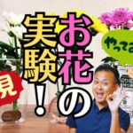 夏に仏壇の花の水が長持ちする方法は10円の銅か100均の薬か？