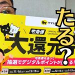 クロネコヤマトの大還元祭よりプチですがプレゼントが！？