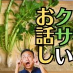 春の七草は「ほとけのざ」と「なずな」が分かりにくい！