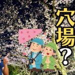 お仏壇の高さを決める時は、自分の目線を基準にしましょう！