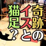 マルニ木工「HIROSHIMA」奇跡の椅子とクラシック家具から学ぶ