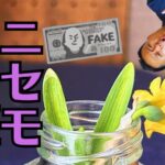 ニトリのお仏壇やお仏壇用の掛軸には本物と偽物があるの？