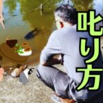 現代の父親は「叱る？」「ほめる？」人生で必要なのはどっち？