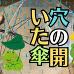 お仏壇用「法名軸」の書き方は？法名、戒名は宗派で違うの？