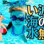 ユーハイム似島「プール」の食事・駐車場・行き方の注意点など