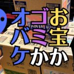 【注意！】お仏壇のお掃除で水拭きをしてはいけない本当の理由とは？
