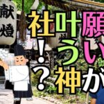 ジャニーズや芸人も参拝「堀越神社」のひと夢祈願と御朱印、こけざるの梅のお守り