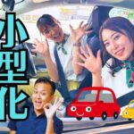 大きなお仏壇を「コンパクト」にする2つの方法の違いとは？