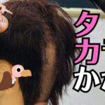 小学生が床屋さんのマネキンをトラ刈りにしてみた！