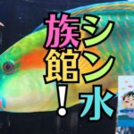シンマリホ水族館｜駐車場・アクセス・チケット・食事・見どころ・所要時間完全ガイド（広島）