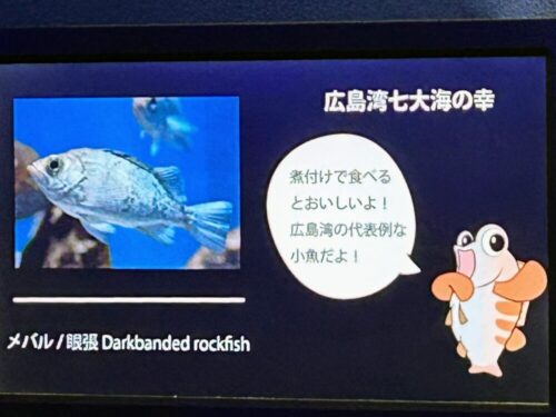 シン・マリホ水族館 シン・マリホ水族館