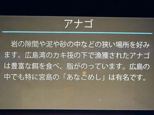 シン・マリホ水族館 シン・マリホ水族館