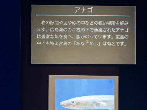 シン・マリホ水族館 シン・マリホ水族館