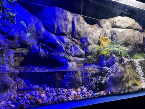 シン・マリホ水族館 シン・マリホ水族館