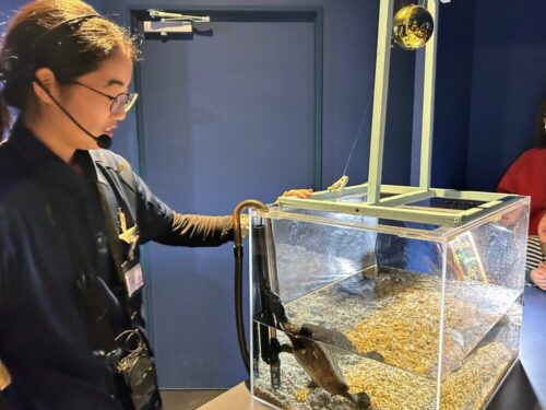 シン・マリホ水族館 シン・マリホ水族館