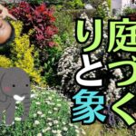 3年前に止まった庭造り、お仏壇の引取りで出会った亡きご主人との「続き」の物語