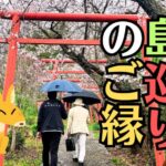 弓削島、生口島、因島の神社仏閣巡りの一日