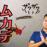 【閲覧注意】空き家の仏壇はゴキブリの巣！？新居へ運ぶ前に知っておくべき3つのリスク