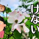 焦って答えを出さなくていい、4年越しの仏壇買換えと「ネガティブ・ケイパビリティ」という心の守り方
