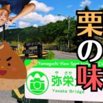 【広島・山口】お仏壇の引越しどこに頼む？美和町〜呉市への移設事例と『保管』の選択肢