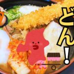 福岡へ初納品！もち吉の水車うどんモッチモチ食感レポ＆太宰府天満宮の美しい菖蒲！