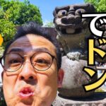 なぜ太宰府天満宮は受験の神様なのか？仮殿の解体と輝く御本殿、サカナクションやムロツヨシさんの奉賛も発見！