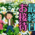 【広島・三原】地域の信仰を守る職人の役割と阿弥陀如来坐像の修復から繋がるご縁