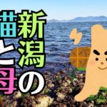 【仏具の修理】音が響かなくなった『おりん』は直せる？新潟から届いた極小のヒビを修復した事例