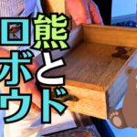 【因島・お遍路】第19番札所・立江寺『延命地蔵尊』厄を肩代わりする存在と四国のお京伝説との繋がり