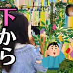 【お仏壇の引越し・移動】低すぎて見下ろすのはNG？理想の高さの決め方と専用台・床の間移設の解決事例を職人が解説