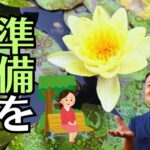 【両家の仏壇整理】空き家の悩みを解決！危篤のお義母さまが待ってくださった新しいお仏壇とお迎えの安心