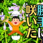 【実家の仏壇どうする？】引き継ぐか迷う時に知りたい3つの選択肢（修理・コンパクト化・長期保管）点検で見つかった親の想いと引き継ぐ決意