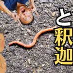 【お仏壇を残すか迷う方へ】処分する前に知りたい本当の価値！お盆に子供や孫へ「命の大切さ」を伝える心の育み