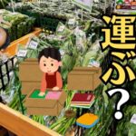 【広島】大型お仏壇の引っ越し・移設で『大きすぎて入らない』と断られたら？分解して運ぶ職人の現地組み立て技術