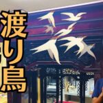 辛い時は前を向かなくていい？坂村真民の詩「一寸先は光」と法話に学ぶ「寄り添い」の心