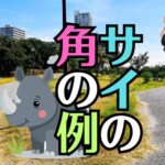【サイの角のようにただ一人歩め】お釈迦様が教える人生の選択と他人に流されない生き方