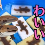 【湯来町】「ナニコレ珍百景」認定！オオサンショウウオこんにゃくを作ってみた