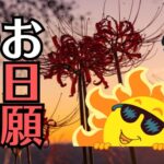 お彼岸の由来は「日願」から！？おかげ様の漢字は「陰」「蔭」どっちが正解？