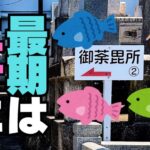 【大谷本廟】親鸞聖人の御荼毘所へ｜「魚のエサに」と残された遺言から感じたこと